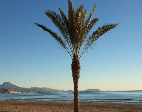 espagne-alicante-playa-san-juan