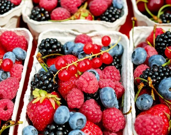 espagne-baies-fruits